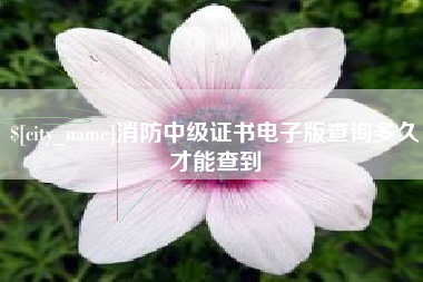 柳州消防中级证书电子版查询多久才能查到