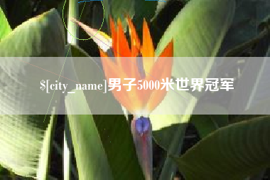 柳州男子5000米世界冠军