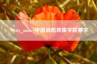 柳州中国消防救援学院要求