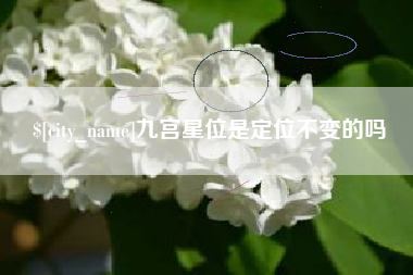 柳州九宫星位是定位不变的吗