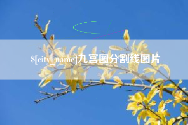 柳州九宫图分割线图片