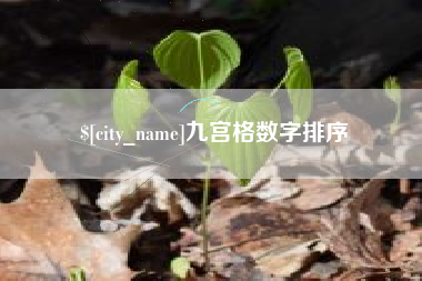柳州九宫格数字排序