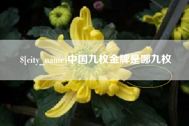 柳州中国九枚金牌是哪九枚