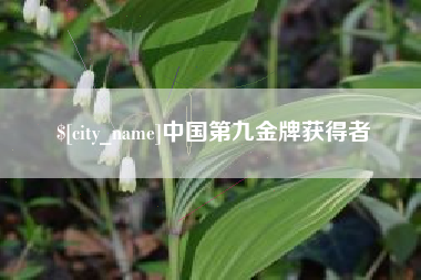 柳州中国第九金牌获得者