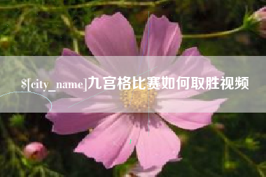柳州九宫格比赛如何取胜视频