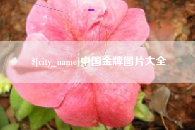柳州中国金牌图片大全