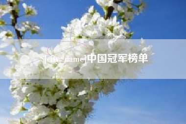 柳州中国冠军榜单