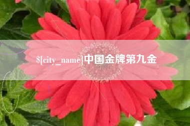 柳州中国金牌第九金
