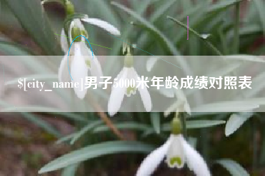柳州男子5000米年龄成绩对照表