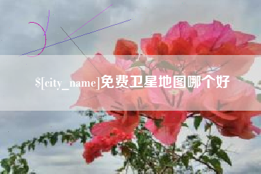 柳州免费卫星地图哪个好