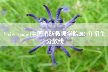柳州中国消防救援学院2024年招生分数线