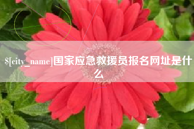 柳州国家应急救援员报名网址是什么