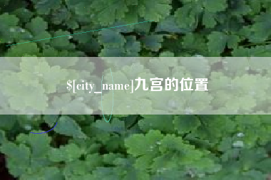 柳州九宫的位置