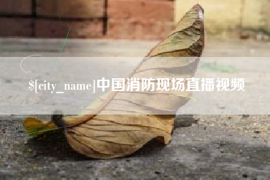 柳州中国消防现场直播视频