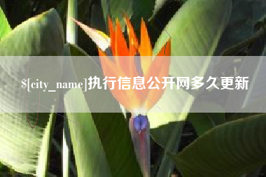 柳州执行信息公开网多久更新