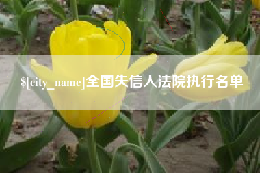 柳州全国失信人法院执行名单
