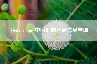 柳州中国消防产品信息查询