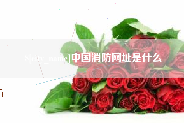 柳州中国消防网址是什么