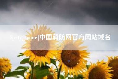 柳州中国消防网官方网站域名