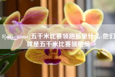柳州五千米比赛领跑员是什么-他们就是五千米比赛领跑员