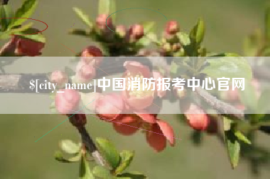柳州中国消防报考中心官网