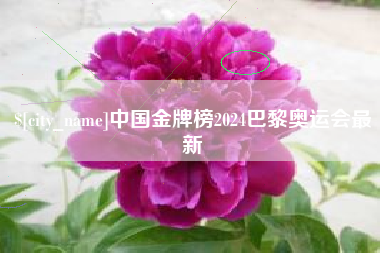 柳州中国金牌榜2024巴黎奥运会最新