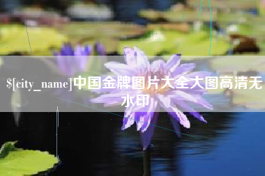 柳州中国金牌图片大全大图高清无水印