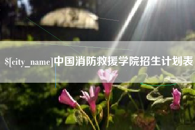 柳州中国消防救援学院招生计划表