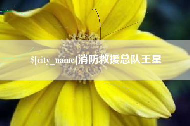 柳州消防救援总队王星