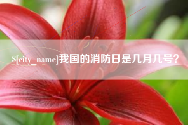 柳州我国的消防日是几月几号？