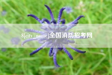 柳州全国消防招考网