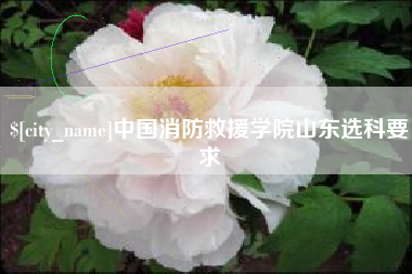 柳州中国消防救援学院山东选科要求