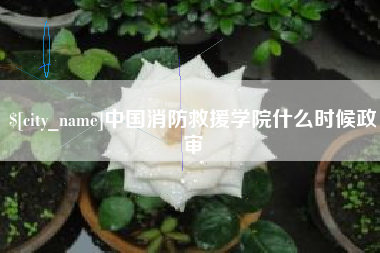 柳州中国消防救援学院什么时候政审