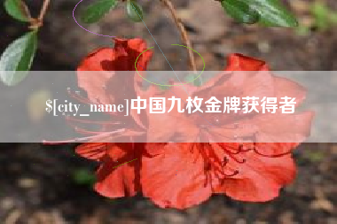 柳州中国九枚金牌获得者