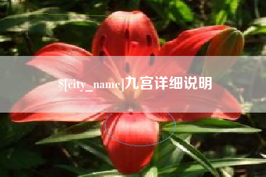 柳州九宫详细说明