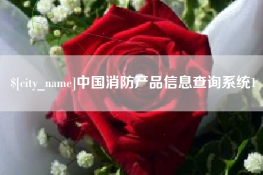 柳州中国消防产品信息查询系统1