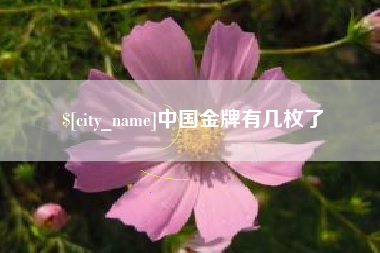 柳州中国金牌有几枚了