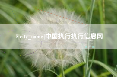 柳州中国执行执行信息网