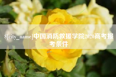 柳州中国消防救援学院2020高考报考条件