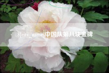 柳州中国队第八块金牌