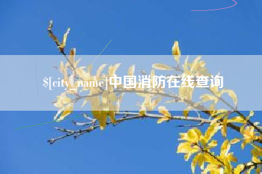 柳州中国消防在线查询