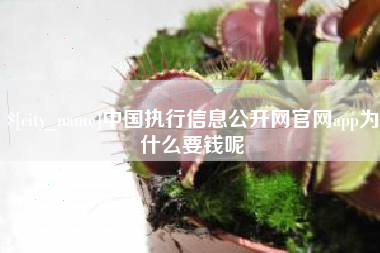 柳州中国执行信息公开网官网app为什么要钱呢