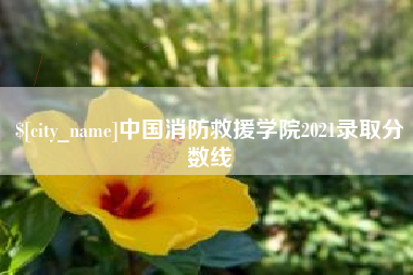 柳州中国消防救援学院2021录取分数线