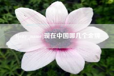 柳州现在中国哪几个金牌
