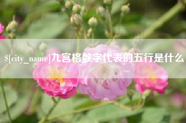 柳州九宫格数字代表的五行是什么