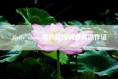 柳州消防证国网查询操作证