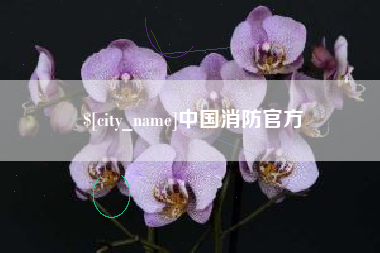 柳州中国消防官方