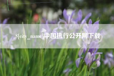柳州中国执行公开网下载