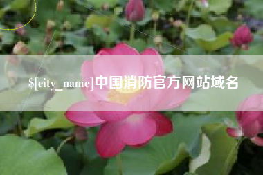 柳州中国消防官方网站域名