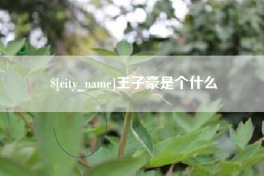 柳州王子豪是个什么